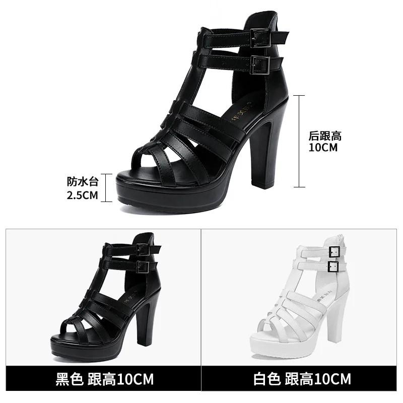 Kadın sandalet için gladyatör  - Gladiator Sandal Women incelemesi ve fiyatı
